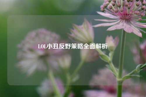 LOL小丑反野策略全面解析