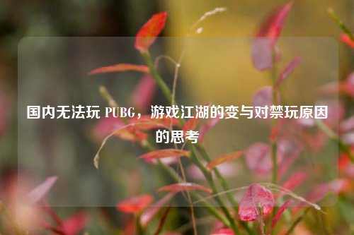 国内无法玩 PUBG，游戏江湖的变与对禁玩原因的思考