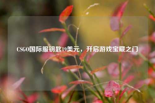 CSGO国际服钥匙19美元，开启游戏宝藏之门