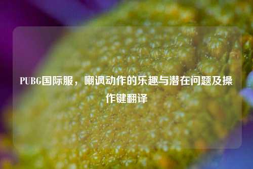 PUBG国际服，嘲讽动作的乐趣与潜在问题及操作键翻译