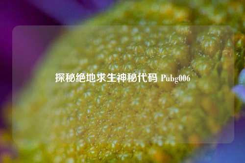 探秘绝地求生神秘代码 Pubg006