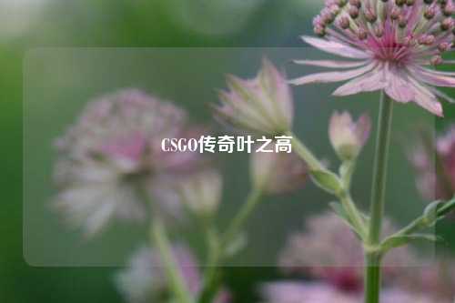 CSGO传奇叶之高
