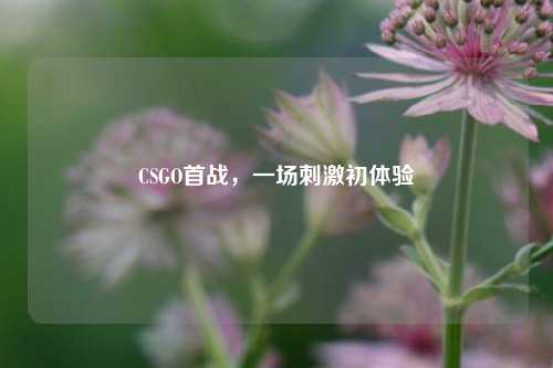 CSGO首战,一场刺激初体验