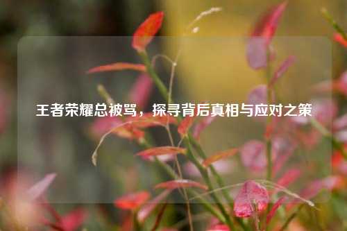 王者荣耀总被骂,探寻背后真相与应对之策
