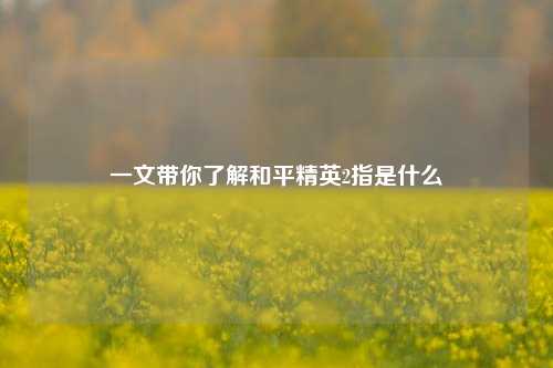 一文带你了解和平精英2指是什么