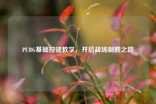 PUBG基础按键教学，开启战场制胜之路