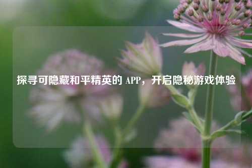 探寻可隐藏和平精英的 APP,开启隐秘游戏体验