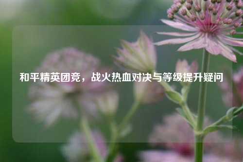和平精英团竞,战火热血对决与等级提升疑问