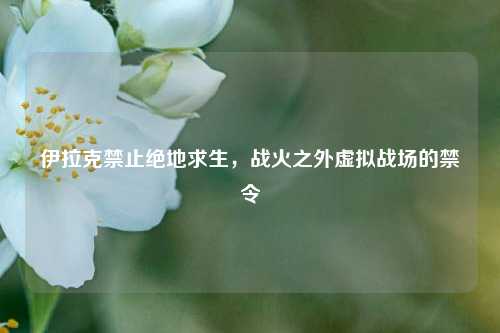 伊拉克禁止绝地求生，战火之外虚拟战场的禁令