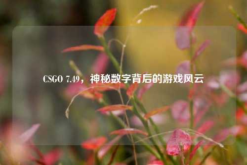 CSGO 7.49，神秘数字背后的游戏风云