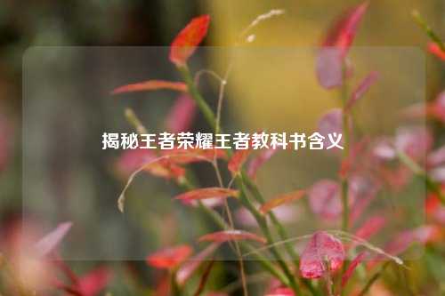 揭秘王者荣耀王者教科书含义