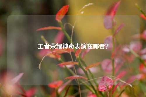王者荣耀神奇表演在哪看?