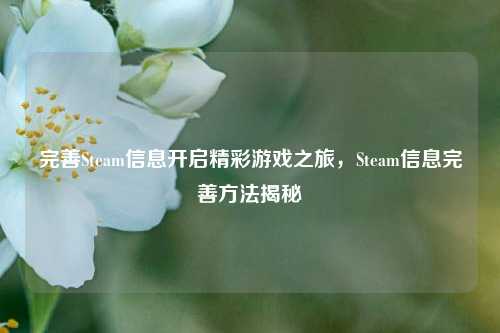 完善Steam信息开启精彩游戏之旅，Steam信息完善方法揭秘
