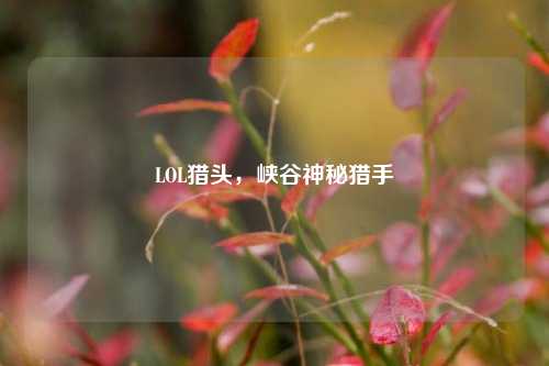 LOL猎头,峡谷神秘猎手