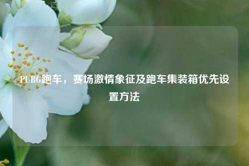 PUBG跑车，赛场激情象征及跑车集装箱优先设置方法