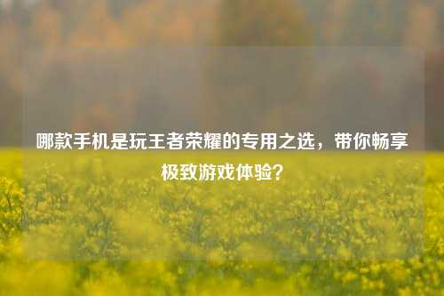哪款手机是玩王者荣耀的专用之选，带你畅享极致游戏体验？