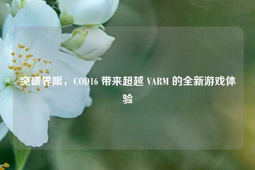 突破界限,COD16 带来超越 VARM 的全新游戏体验