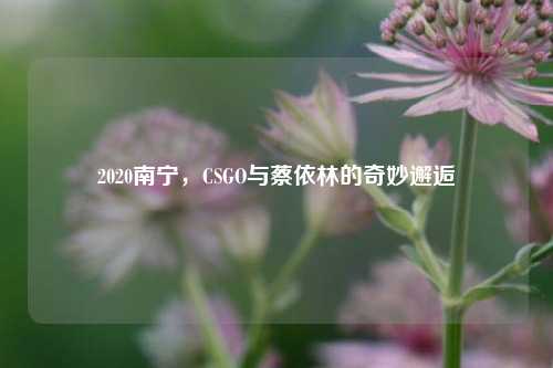 2020南宁,CSGO与蔡依林的奇妙邂逅