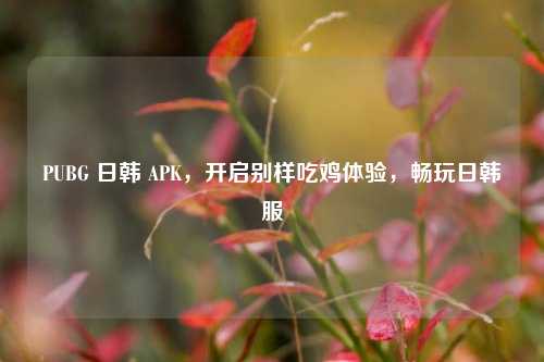 PUBG 日韩 APK,开启别样吃鸡体验,畅玩日韩服