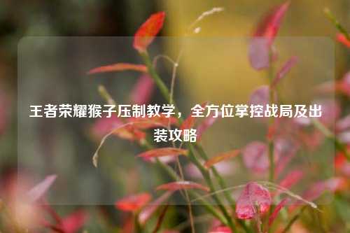王者荣耀猴子压制教学，全方位掌控战局及出装攻略
