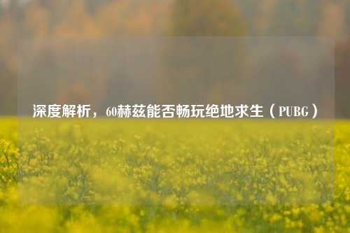 深度解析,60赫兹能否畅玩绝地求生(PUBG)