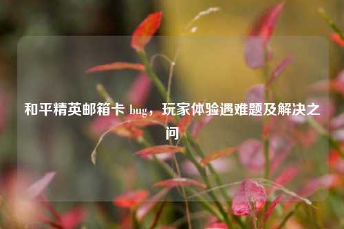 和平精英邮箱卡 bug,玩家体验遇难题及解决之问