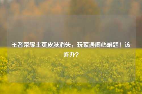 王者荣耀主页皮肤消失，玩家遇闹心难题！该咋办？