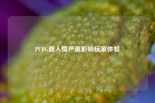 PUBG载入慢严重影响玩家体验