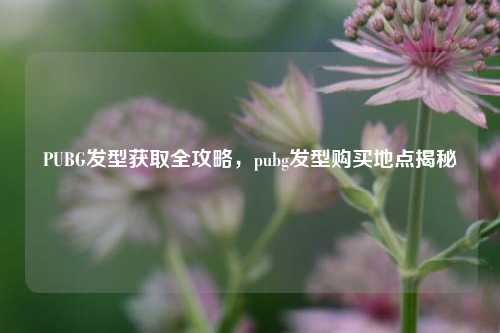 PUBG发型获取全攻略,pubg发型购买地点揭秘