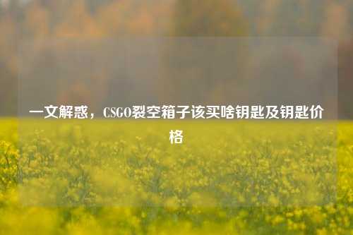 一文解惑,CSGO裂空箱子该买啥钥匙及钥匙价格