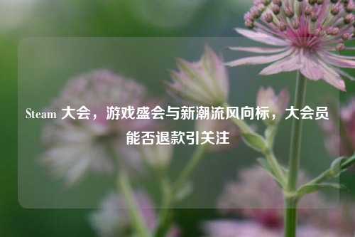 Steam 大会，游戏盛会与新潮流风向标，大会员能否退款引关注