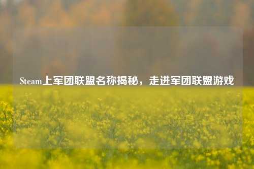 Steam上军团联盟名称揭秘,走进军团联盟游戏