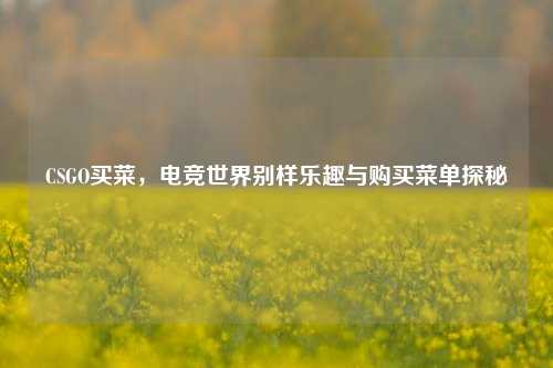 CSGO买菜,电竞世界别样乐趣与购买菜单探秘
