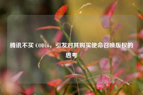 腾讯不买 COD16,引发对其购买使命召唤版权的思考