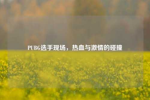 PUBG选手现场,热血与激情的碰撞