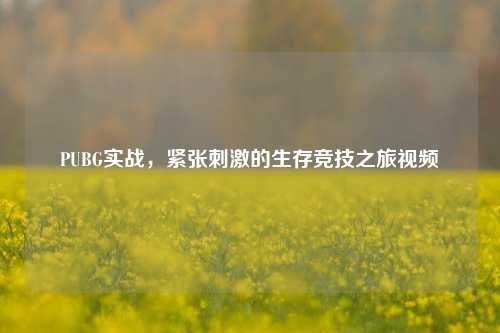 PUBG实战,紧张刺激的生存竞技之旅视频
