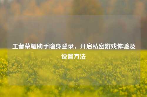 王者荣耀助手隐身登录,开启私密游戏体验及设置方法