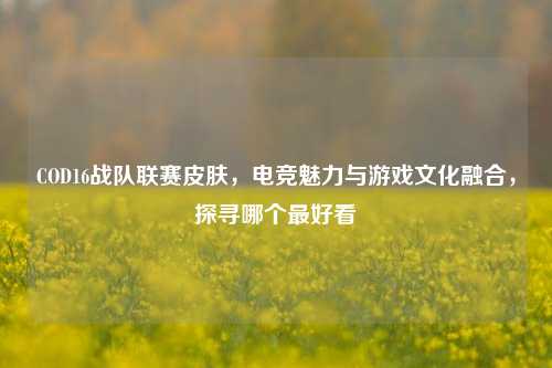 COD16战队联赛皮肤,电竞魅力与游戏文化融合,探寻哪个最好看