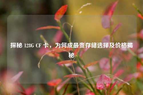 探秘 128G CF 卡,为何成最贵存储选择及价格揭秘