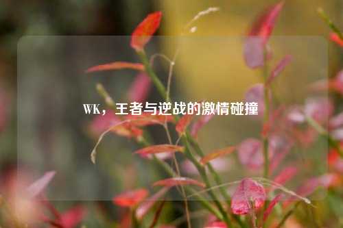 WK,王者与逆战的激情碰撞