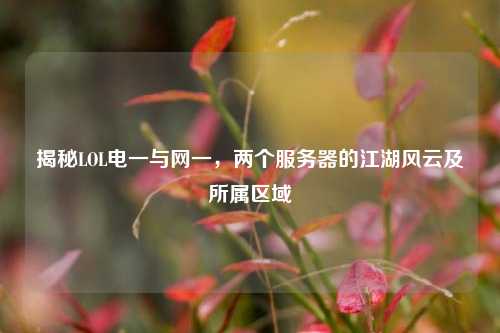 揭秘LOL电一与网一,两个服务器的江湖风云及所属区域
