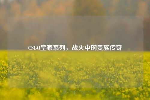 CSGO皇家系列,战火中的贵族传奇
