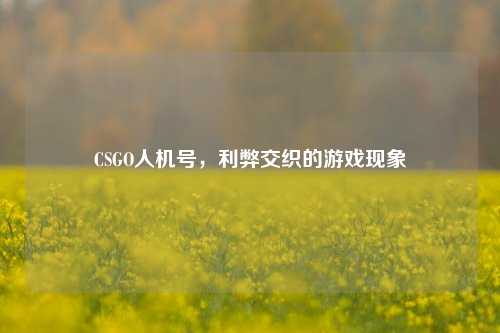 CSGO人机号，利弊交织的游戏现象