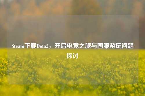 Steam下载Dota2,开启电竞之旅与国服游玩问题探讨