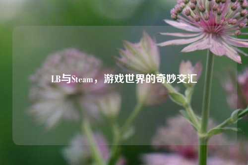 LB与Steam,游戏世界的奇妙交汇