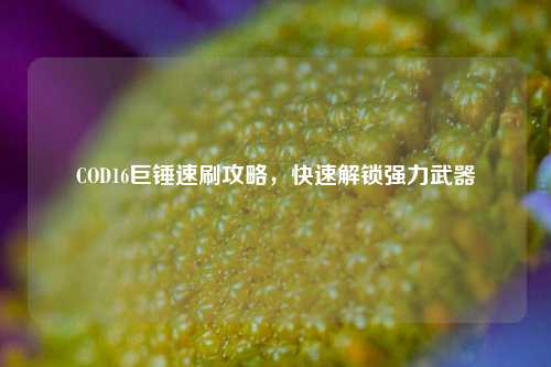 COD16巨锤速刷攻略,快速解锁强力武器