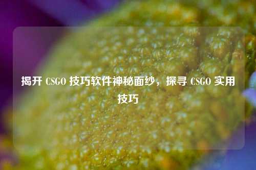 揭开 CSGO 技巧软件神秘面纱,探寻 CSGO 实用技巧