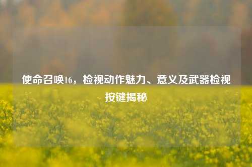 使命召唤16,检视动作魅力、意义及武器检视按键揭秘