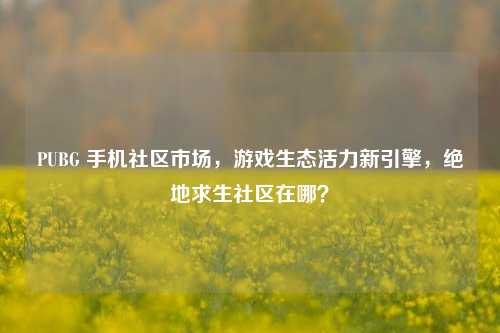 PUBG 手机社区市场,游戏生态活力新引擎,绝地求生社区在哪?