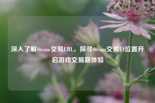 深入了解Steam交易URL,探寻Steam交易UI位置开启游戏交易新体验